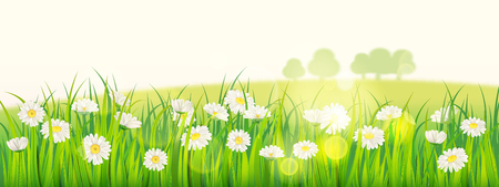 Template background Spring field of flowers of daisies and green juicy grass, meadow, blue sky, white cloudsのイラスト素材