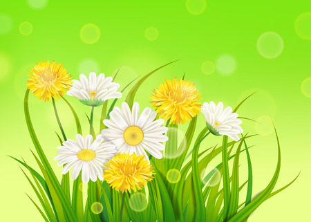 Spring chamomile and dandelions background fresh green grassのイラスト素材