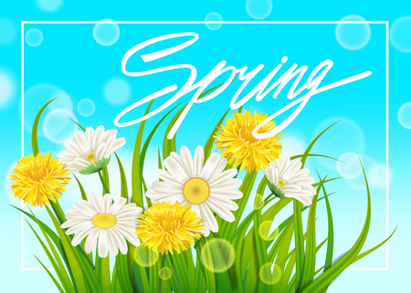 Spring chamomile and dandelions background fresh green grassのイラスト素材