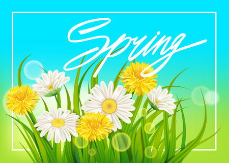 Spring daisies and dandelions background fresh green grass, pleasant juicy spring colorsのイラスト素材