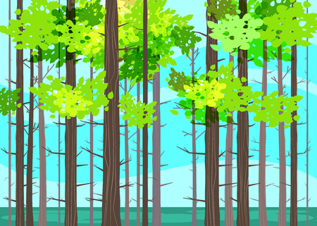 Beautiful Spring forest trees, green foliage, landscapeのイラスト素材