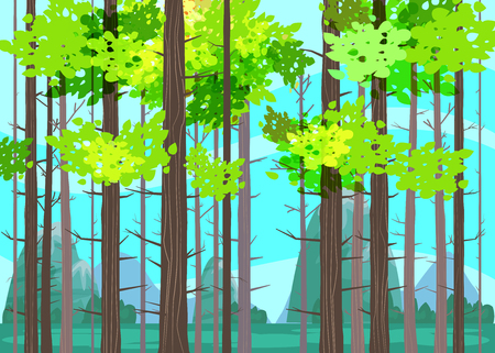 Beautiful Spring forest trees, green foliage, landscapeのイラスト素材