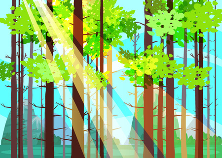 Beautiful Spring forest trees, green foliage, landscapeのイラスト素材