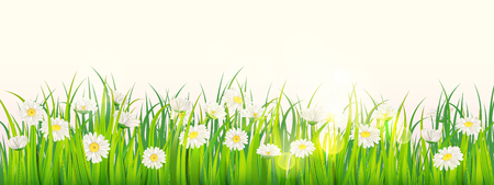 Template background Spring field of flowers of daisies and green juicy grass, meadow, blue sky, white cloudsのイラスト素材