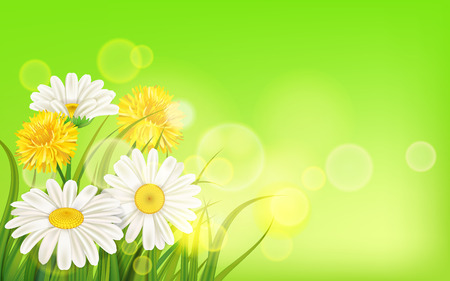 Spring flower daisy juicy, chamomiles yellow dandelions green grass background Template for banners, web, flyer. Vector illustration isolated.のイラスト素材