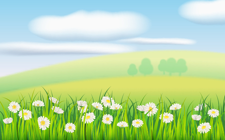 Spring field of flowers of daisies, chamomile and green juicy grass, meadow, blue sky, white clouds