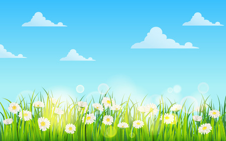 Spring field of flowers of daisies, chamomile and green juicy grass, meadow, blue sky, white cloudsのイラスト素材