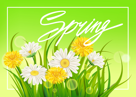 Spring daisies and dandelions background fresh green grass, pleasant juicy spring colorsのイラスト素材