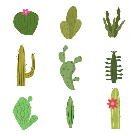 Set of cactus, funny cute plant, isolated, vector, illustrationのイラスト素材