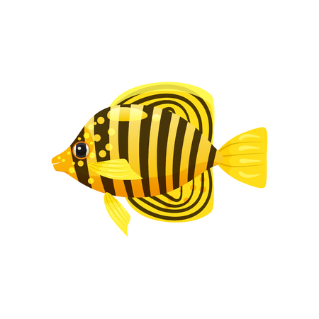 Tropical exotic Butteflyfish, bright colorful coloringのイラスト素材