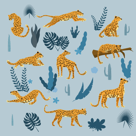 Set of leopards in various poses, plants, flowers, exotic, graphic cute trend style, mammal predator, jungle. Vector illustration of cartoon styleのイラスト素材