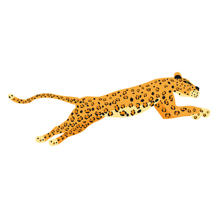 Leopard cute trend style, animal predator mammal, jungle. Vector illustration isolated on white backgroundのイラスト素材