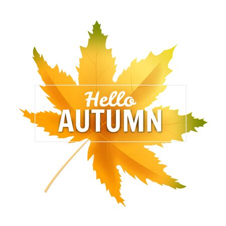 Banner Hello Autumn leaf template background.のイラスト素材