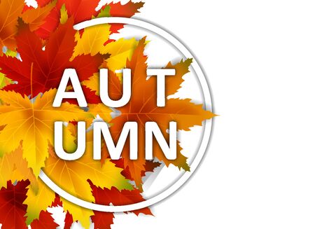 Special Offer Autumn Sale Background Template, with falling bunch of leavesのイラスト素材