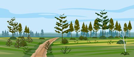 Meadow and forest landscape nature, spruce pine trees, grass and bushes. Panorama scenery lonely path roadのイラスト素材
