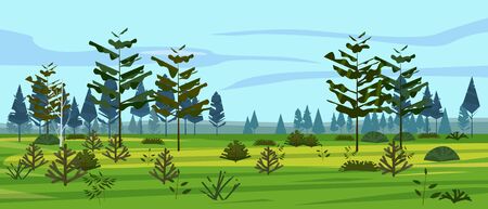 Meadow and forest landscape nature, spruce pine trees, grass and bushes. Panorama sceneryのイラスト素材