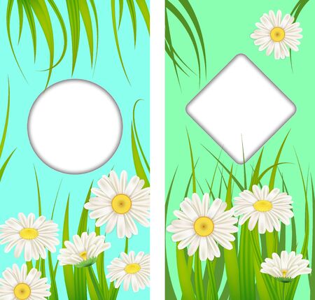 Set spring cards of floral flowers dandelions and daisies, chamomiles, grass backgroundsのイラスト素材