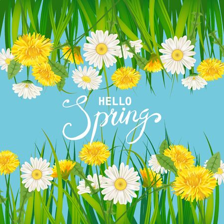 Hello Spring lettering template background with flowers dandelions and daisies, chamomiles, grassのイラスト素材