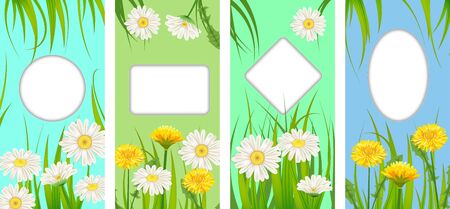 Set spring cards of floral flowers dandelions and daisies, chamomiles, grass backgroundsのイラスト素材