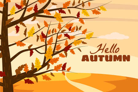 Hello Autumn landscape. Fall trees with yellow orange leaves, lonely road for contemplation of autumn nature park.のイラスト素材