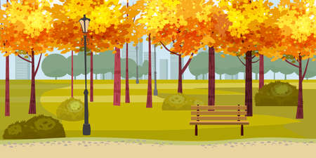 Autumn Park landscape yellow orange red foliage trees, walkway bench. Fall mood outdoor cityscape. Vector isolated illustration isolatedのイラスト素材