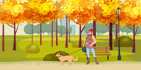 Autumn Park woman walks with dog, yellow orange red foliage trees, walkway bench. Fall mood outdoor cityscape. Vector isolated illustration isolatedのイラスト素材