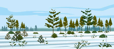 Winter Meadow and forest landscape nature, spruce pine trees, grass and bushes, snow. Panorama scenery. Vector illustration banner poster template trendy styleのイラスト素材
