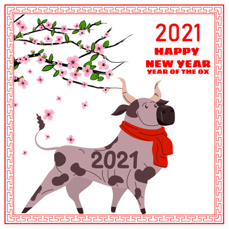 Happy Chinese 2021 new year greeting card. Year of the ox. Cute bull with red scarf and blooming tree flowers. Chinese zodiac symbol traditional holidays cartoon character. Vector illustrationのイラスト素材