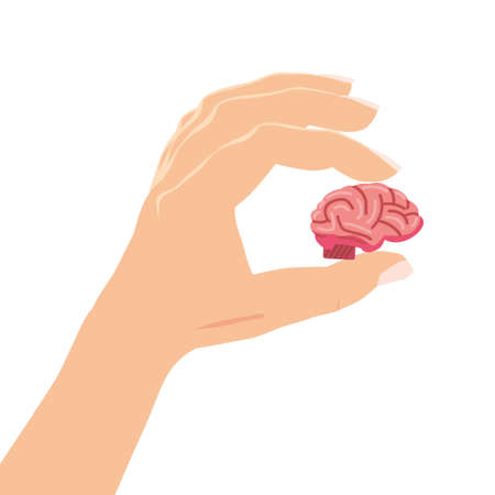 Hand holding brain carefully symbolic of mental health. Concept Psychology and psychotherapy. Vector isolatedのイラスト素材