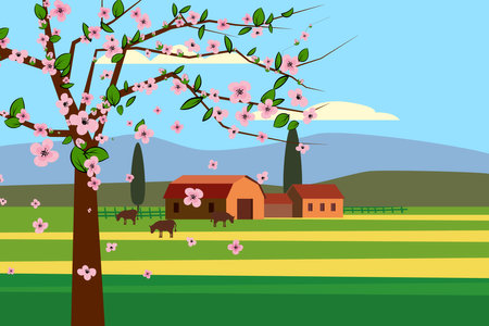 Spring landscape rural countryside, blossom tree, rural nature wwith farmhouse, barn and grass flowers. Panorama springtime green fields, blue sky. Vector backgroundのイラスト素材