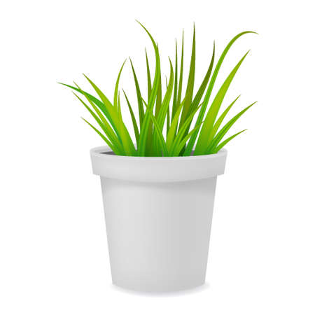 Flower pot realistic with grass white ceramic or plastic. Vector templateのイラスト素材
