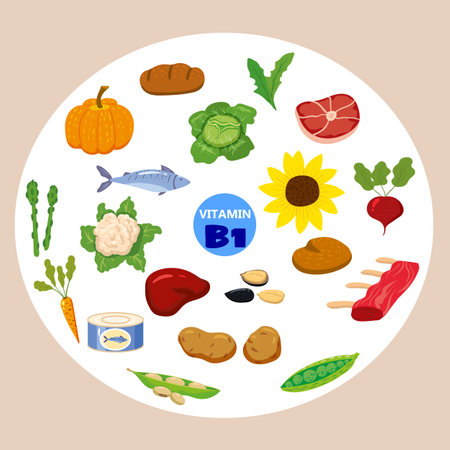 Set of Vitamin C origin natural sources. Healthy diary food, thiamine, fruits, greens, vegetables, fish, nuts, meat, bread. Organic diet products, natural nutrition collection. Vector flatのイラスト素材