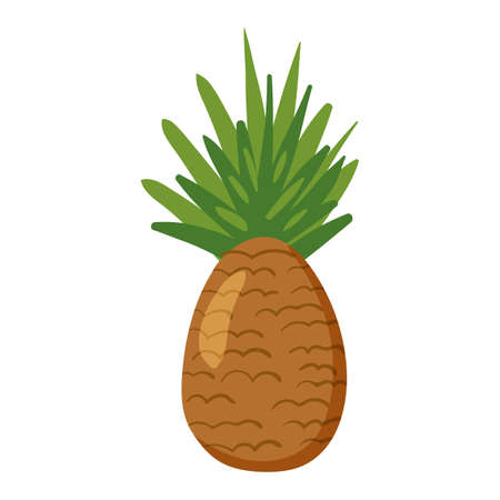 Pineapple tropical fruit, healthy nutrition product. Vector cartoon flat illustration hand drawn isolatedのイラスト素材