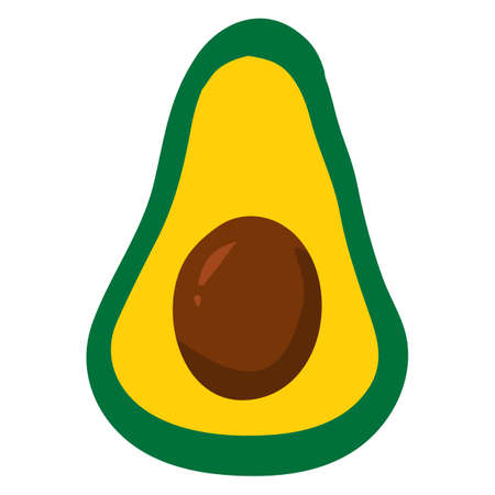 Avocado fruit, healthy organic nutrition product, cut. Vector cartoon flat trendy illustration hand...