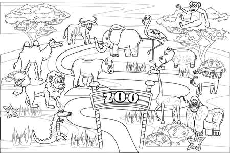 Zoo Jungle, safari animals coloring book educational illustration for children. Set cute lion, crocodile, monkey, elephant, camel, rhinoceros, gorilla, hyppo. Vector white black cartoon outlineのイラスト素材