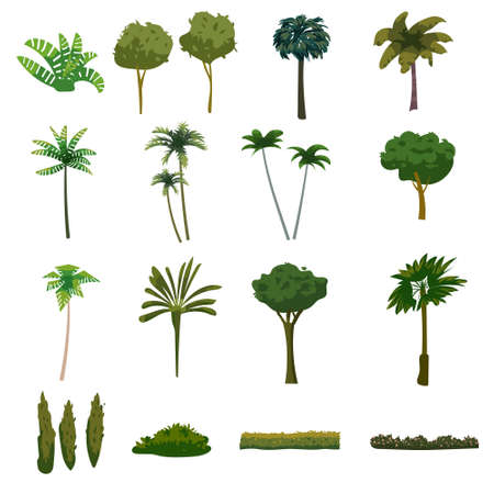 Palm trees tropical exotic plants set. Collection botanical flora jungle tropic nature. Vector cartoon flat style illustrationのイラスト素材