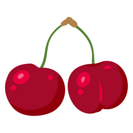 Cherry fruit, natural healthy organic nutrition product. Vector cartoon flat trendy illustration...