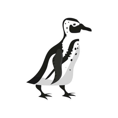Penguin bird black white color. Vector illustration cartoon styleのイラスト素材