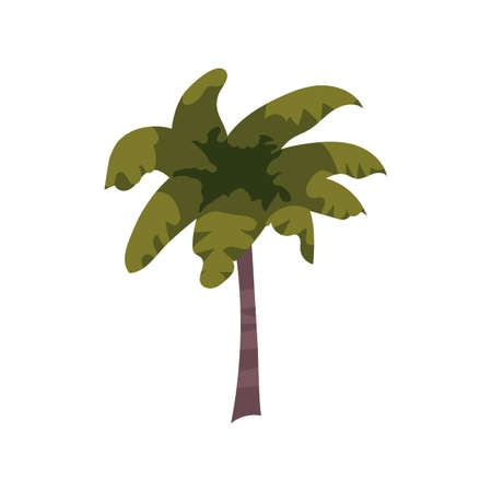 Palm tree tropical. Exotic floral plant with leaves isolated. Vectorのイラスト素材