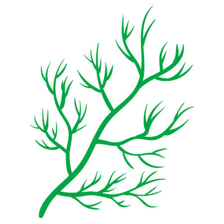 Dill greenery, natural healthy organic nutrition product, citrus. Vector doodle cartoon flat trendy illustration hand drawn isolatedのイラスト素材