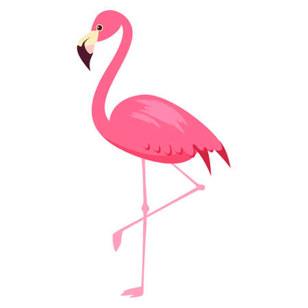 Pink Flamingo exotical bird. Vector illustration cartoon styleのイラスト素材