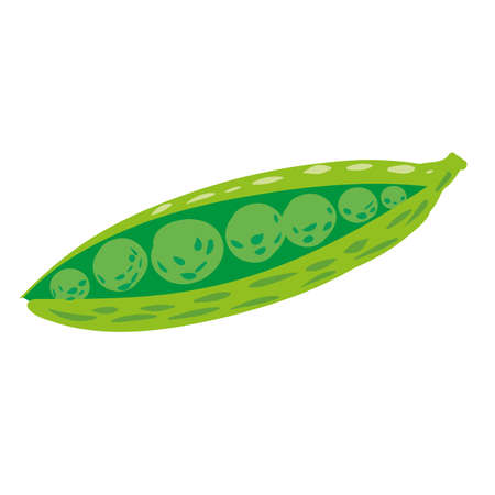 Green pea natural healthy organic nutrition product, open. Vector doodle cartoon flat trendy illustration hand drawn isolatedのイラスト素材