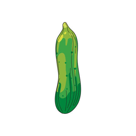 Cucumber vegetable hand drawing doodle icon, organic product. Vector sketch illustration vintage, retro engraving styleのイラスト素材