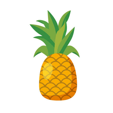 Pineapple whole fruit exotical fresh. Summer tropical healthy food. Vector illustration cartoonのイラスト素材