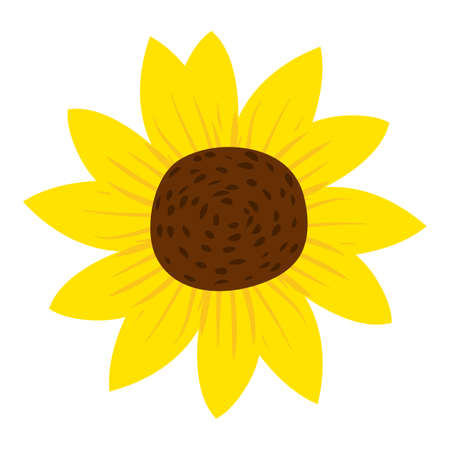 Sunflower flower natural healthy organic nutrition product. Vector doodle cartoon flat trendy illustration hand drawn isolatedのイラスト素材