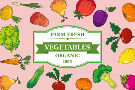 Organic vegatables anf fruits design poster. Hand drawn doodles illustration fresh healthy food. Vector sketch retro style templateのイラスト素材