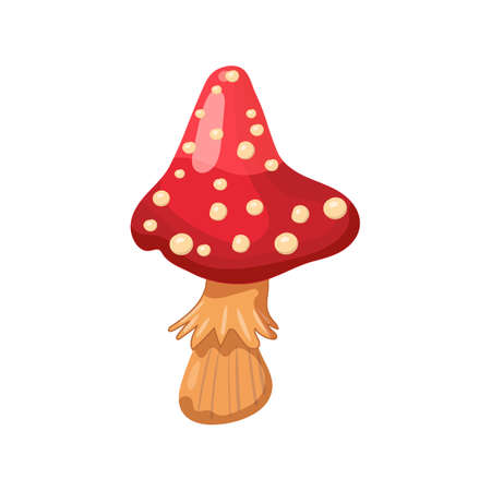 Mushroom Amanita, magic poisone, red white color. Vector illustration cartoon styleのイラスト素材