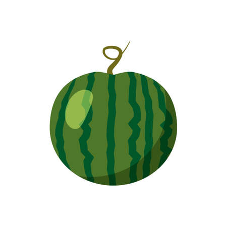 Watermelon whole and fresh summer fruit. Tasty tropical sweet food. Vector illustration cartoonのイラスト素材