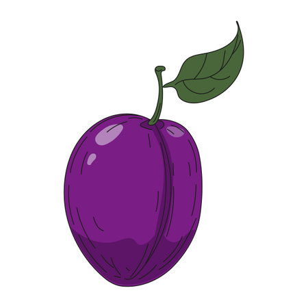 Plum fruit hand drawing colorful doodle icon, organic farm product. Vector sketch illustration vintage, retro engraving styleのイラスト素材