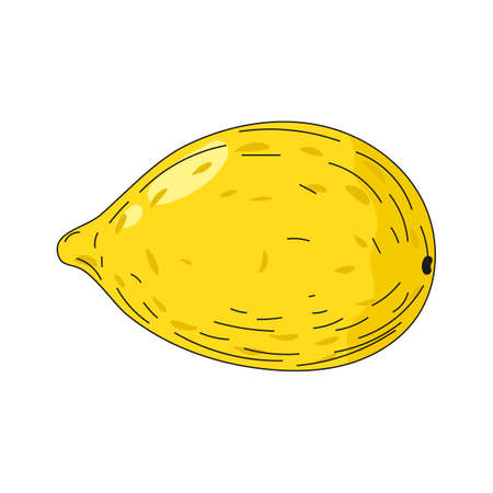 Lemon fruit hand drawing colorful doodle icon, organic farm product. Vector sketch illustration vintage, retro engraving styleのイラスト素材